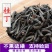 桂丁供应上千种中药材