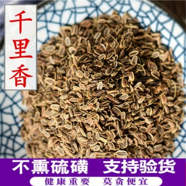 千里香七里香供应上千种中药材