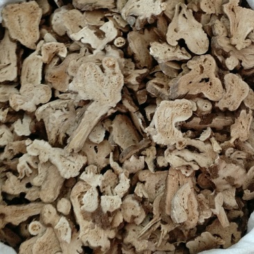 振兴药材批发供应白术保质保量常年供应诚信合作薄利多
