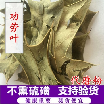 功劳叶供应上千种中药材