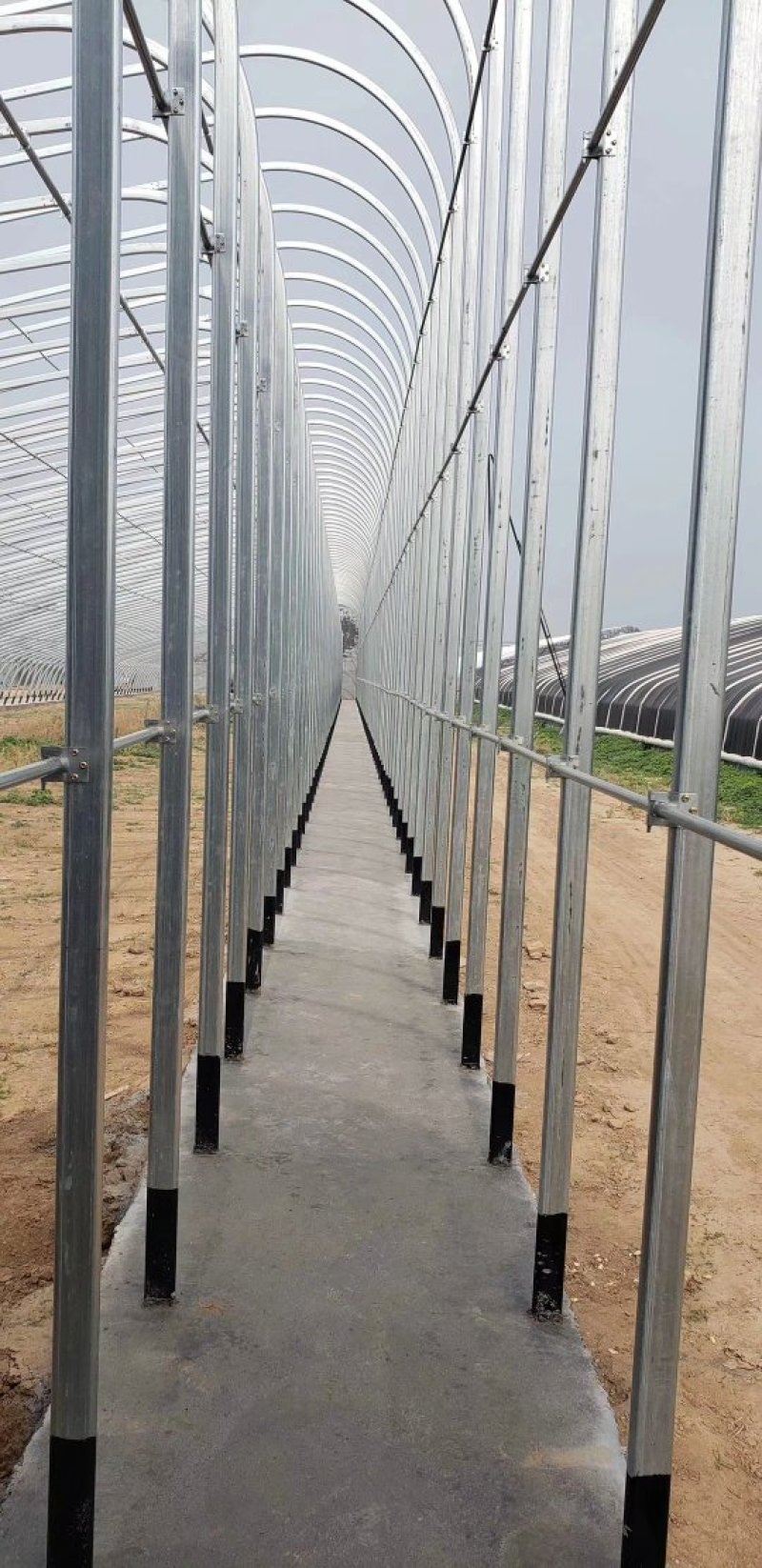 天津成套大棚厂家直销温室大棚新型材料价格美丽欢迎来聊