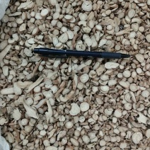 振兴药材批发供应统货白芍保质保量常年供应诚信合作
