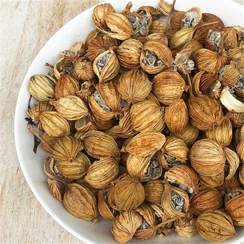 香砂供应上千种中药材