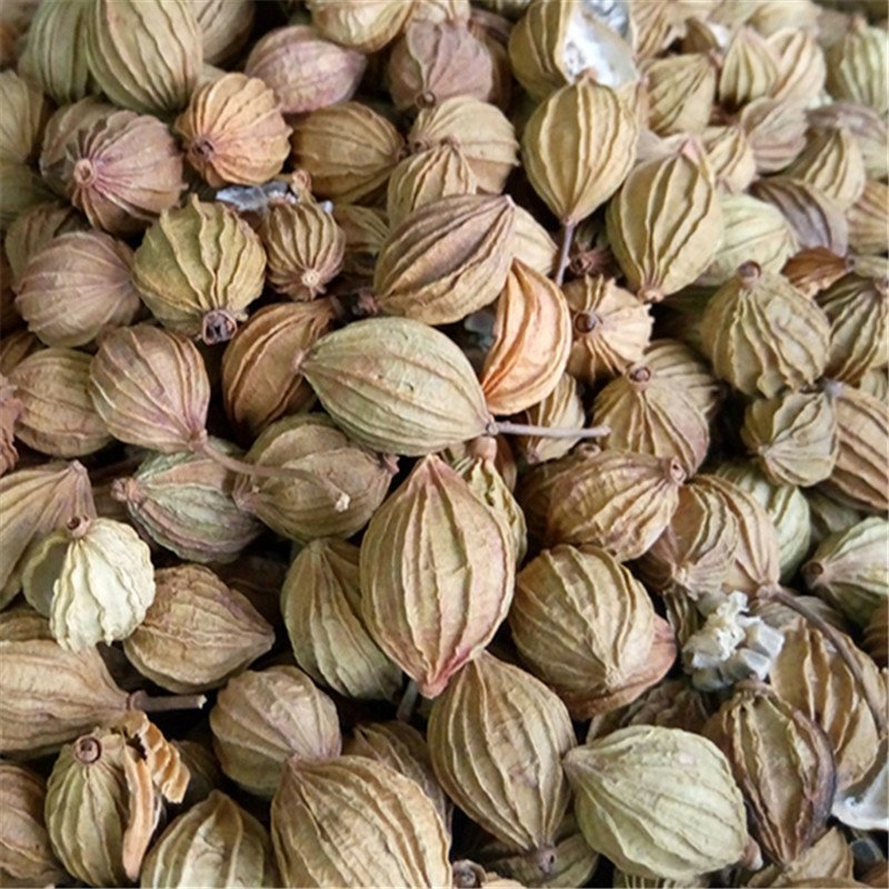 香砂供应上千种中药材