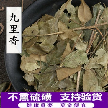 九里香供应上千种中药材