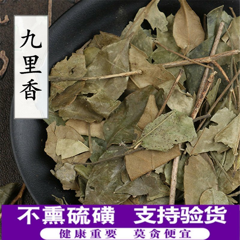 九里香供应上千种中药材