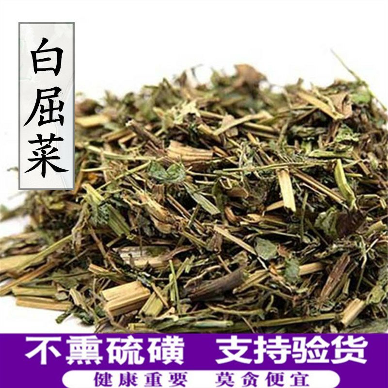 白屈菜供应上千种中药材