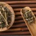 白屈菜供应上千种中药材