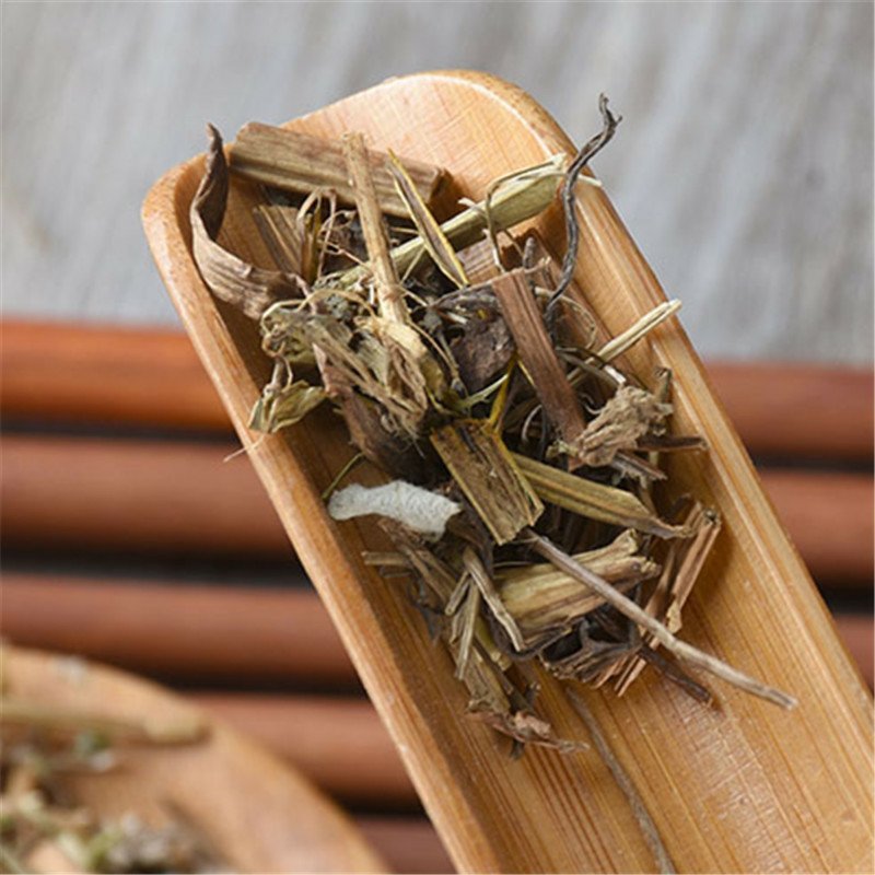 白屈菜供应上千种中药材