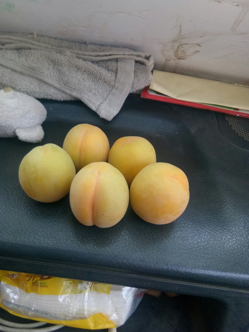 梅子订购中