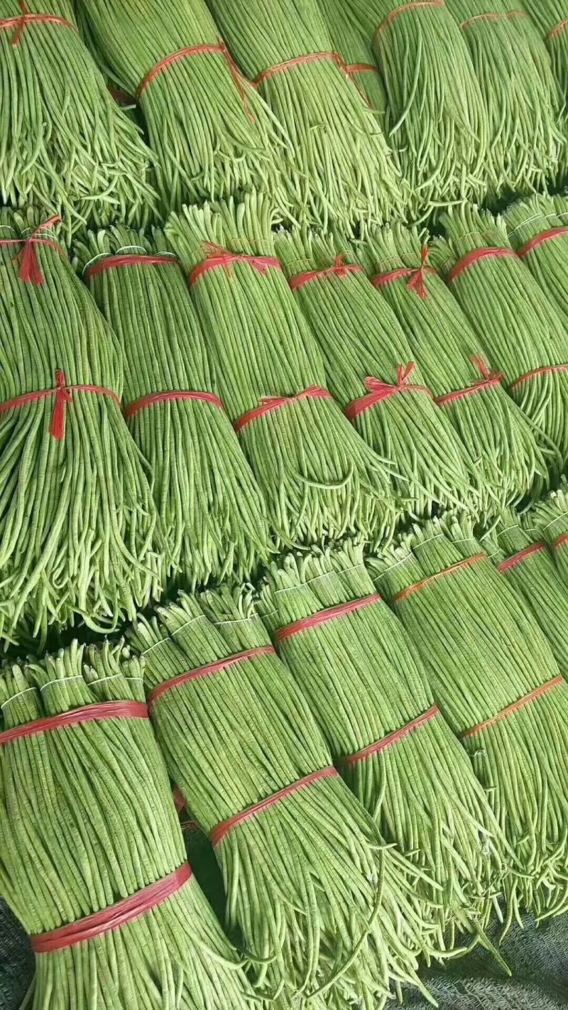 长豆角70厘米以上，质量保证，大量供货