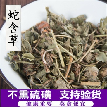 蛇含草供应上千种中药材