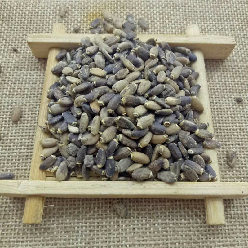 水飞蓟供应上千种中药材