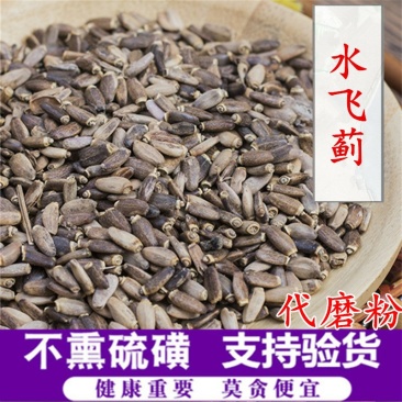 水飞蓟供应上千种中药材