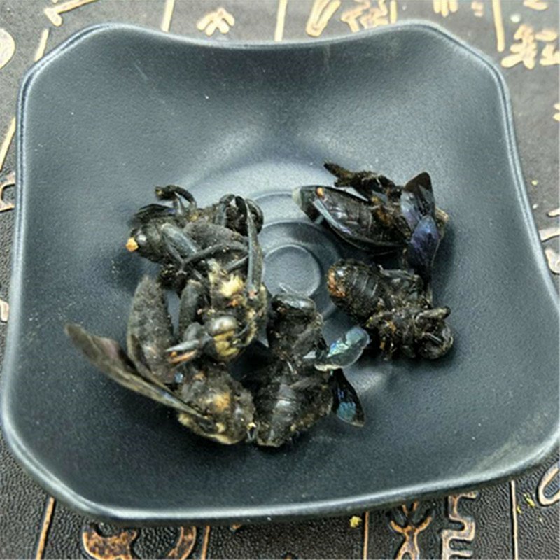 包邮竹蜂乌竹蜂供应上千种中药材
