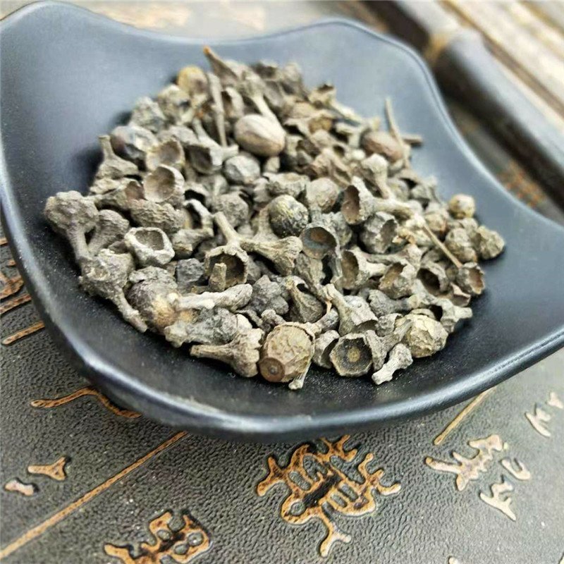 桂子肉桂子供应上千种中药材