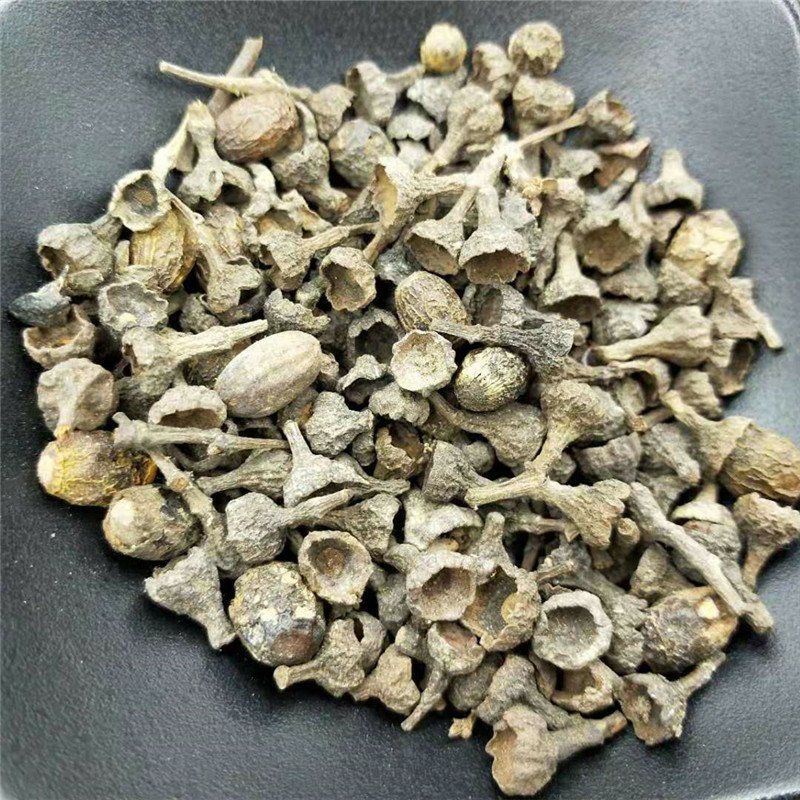 桂子肉桂子供应上千种中药材