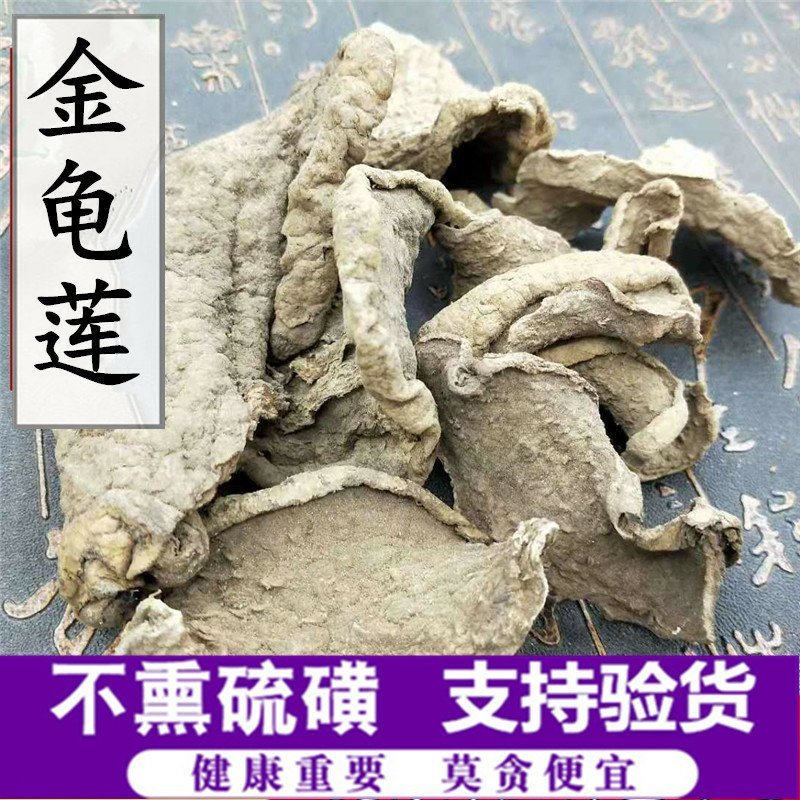 金龟莲供应上千种中药材