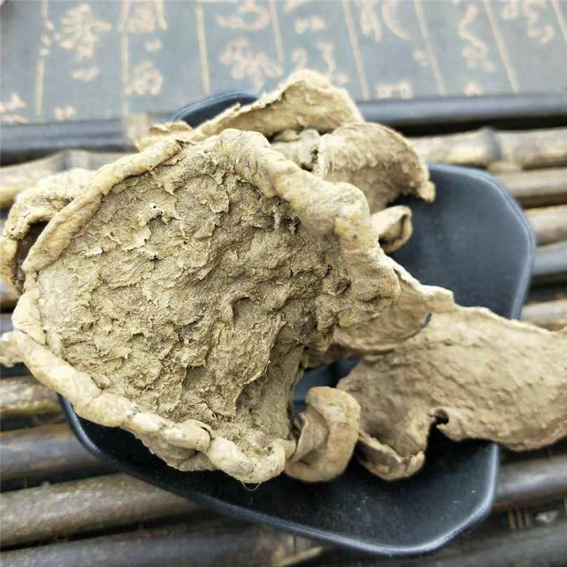 金龟莲供应上千种中药材
