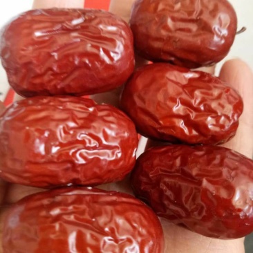 若羌红枣小红枣原产地供应核小肉厚口感清脆