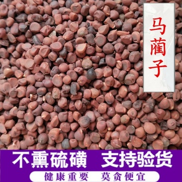 马蔺子马兰子供应上千种中药材