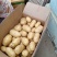 荷兰十五鲜土豆货源充足