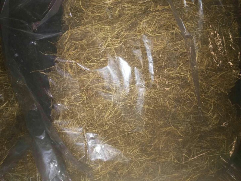 辽宁清原北龙胆烘干