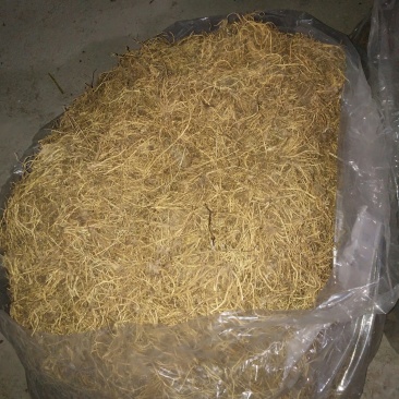 辽宁清原北龙胆烘干
