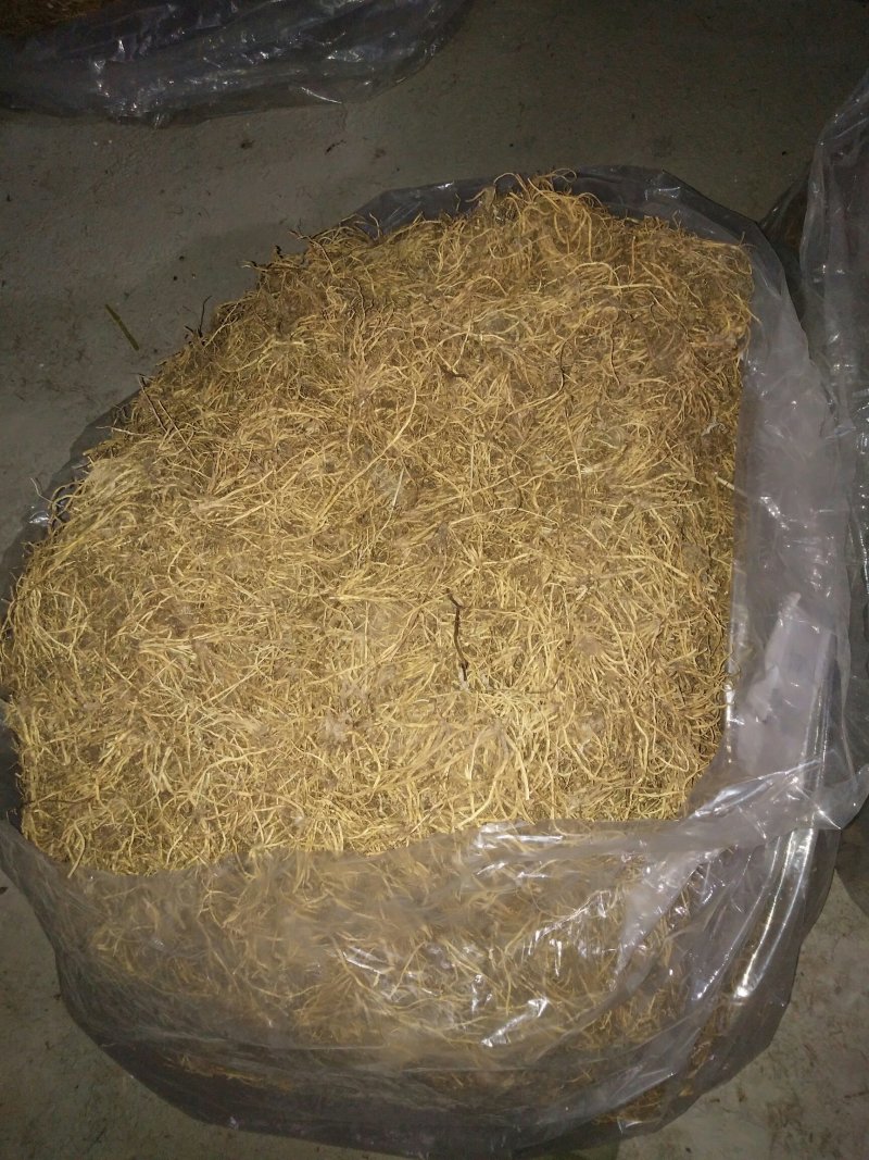 辽宁清原北龙胆烘干