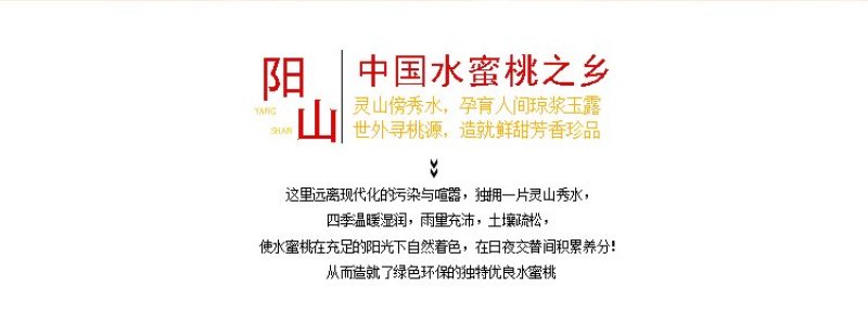 果园直供量大从优现采鲜果无锡阳山水蜜桃采摘基地