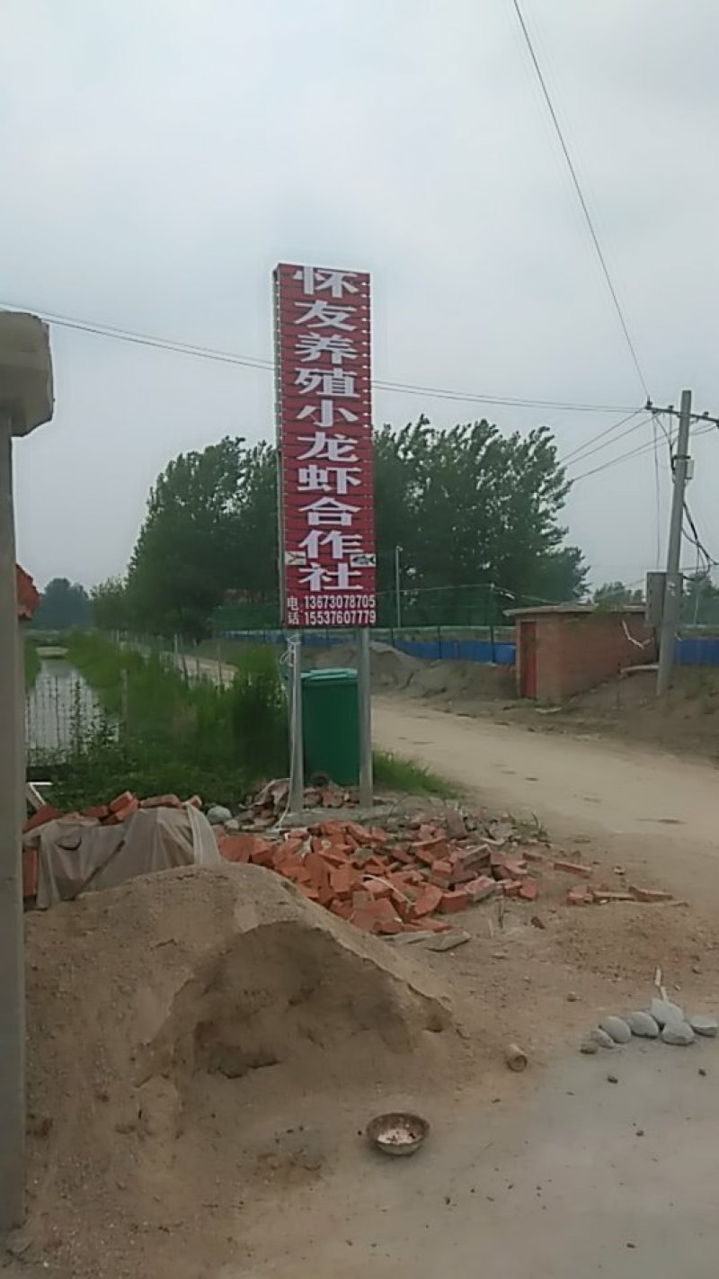 怀友小龙虾百亩养殖基地