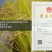 黑龙江东北大米稻花香新米承诺零售批发招代理商