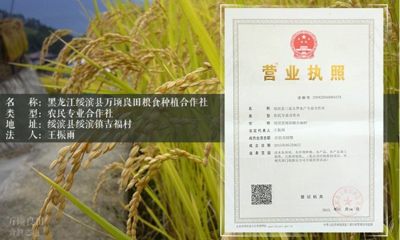 黑龙江东北大米稻花香新米承诺零售批发招代理商