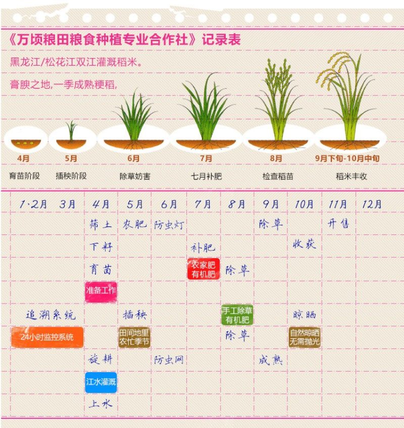 黑龙江东北大米稻花香新米承诺零售批发招代理商