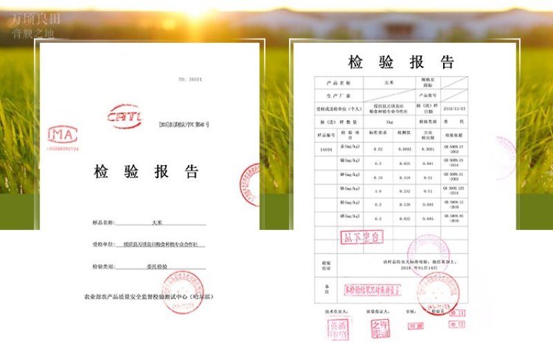 东北大米黑龙江新米全国包邮