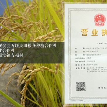 东北大米黑龙江新米全国包邮