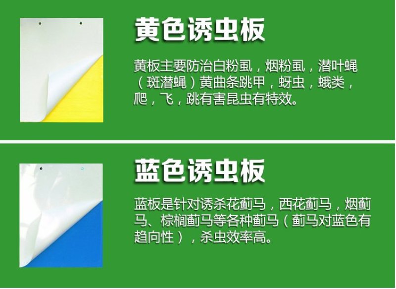 黄板双面粘虫板诱虫板纸贴黄色灭小飞虫杀沾果蝇粘板蓝板蓟马