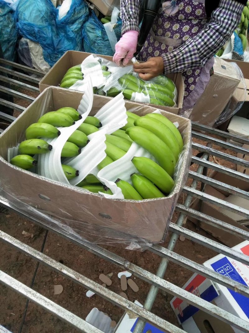 香蕉