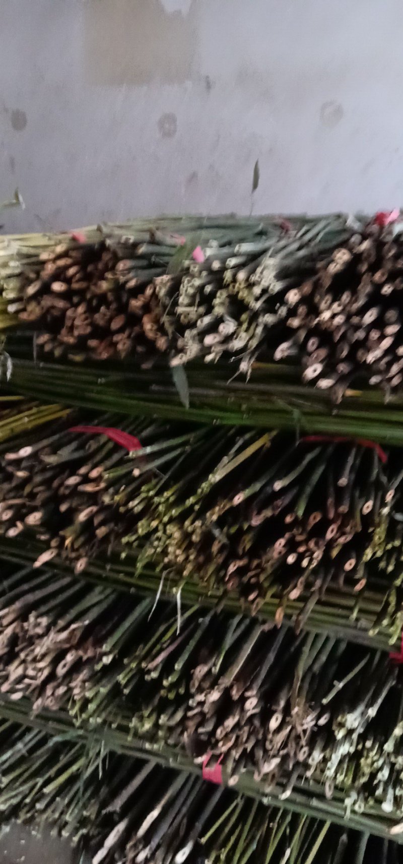 优质的菜架竹，保质保量，价格实惠一手货源。