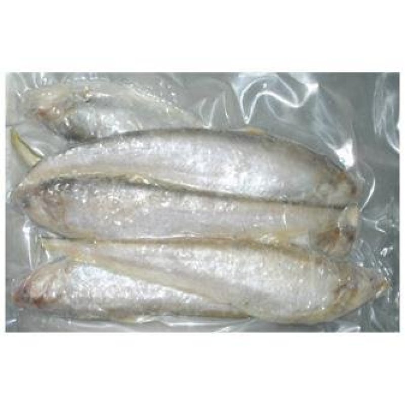 野生淡水毛刀鱼