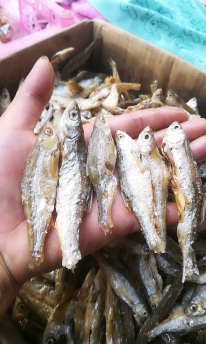 绥江河河鱼，油炸南刀鱼