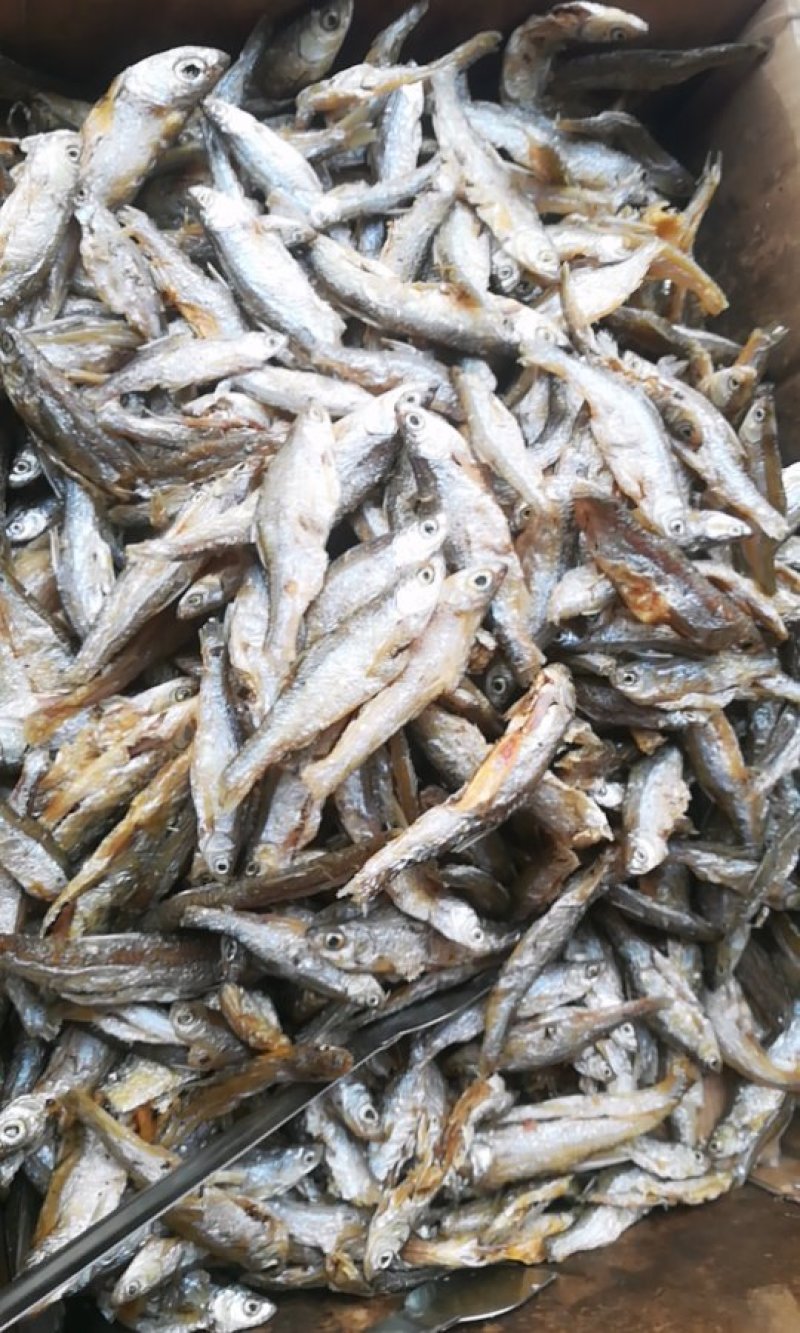 绥江河河鱼，油炸南刀鱼