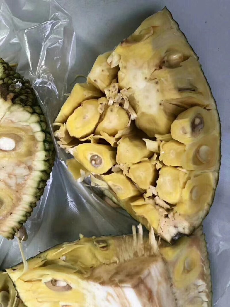 大树菠萝蜜大量出货，皮薄肉厚，诚信交易，价格合理