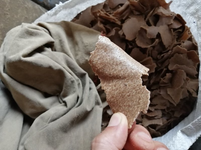 花生麸—冷榨薄片花生麸