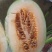 西州蜜25大量上市，品质好，甜度高，价格便宜