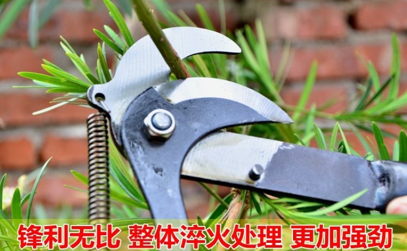 园林高空摘果器修枝剪