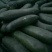 黑皮冬瓜-基地直供-货源充足-保证质量
