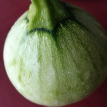 嫩南瓜