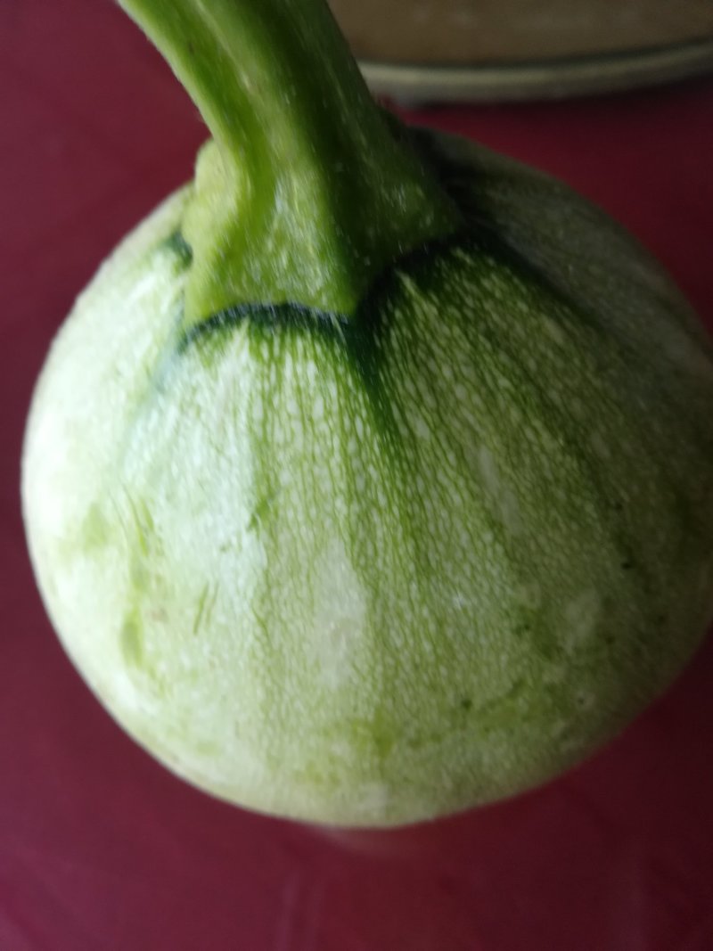 嫩南瓜