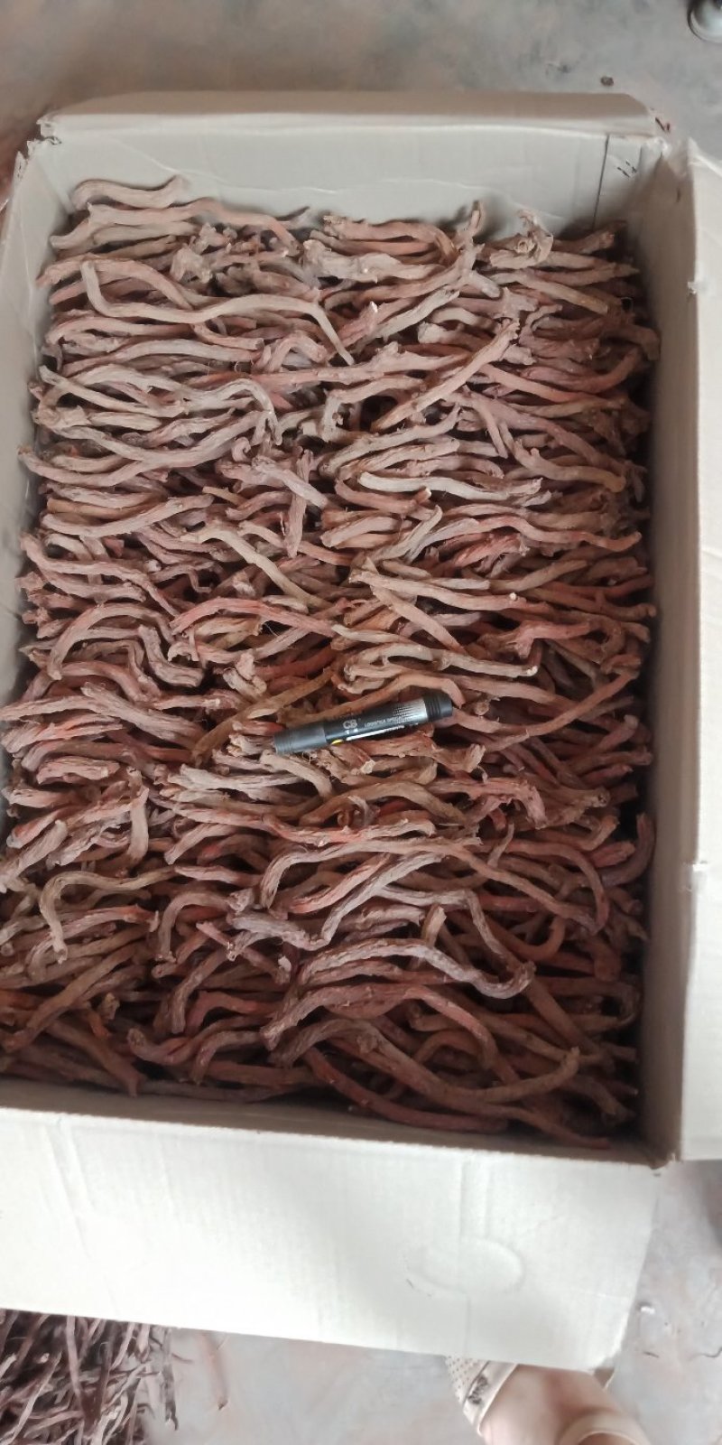 大量出售各种规格丹参选条及药厂货，产地直发，量大丛优